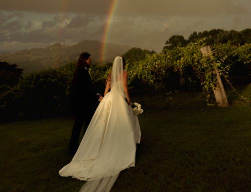 Winter Wedding Romance at Summergrove Estate