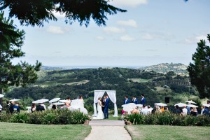 Ivy Road photography 